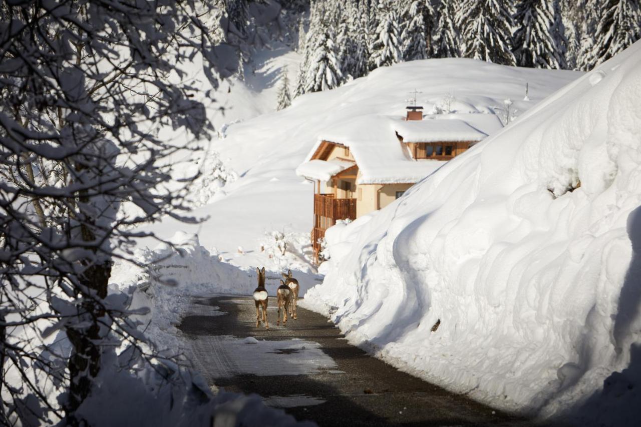 Sotciastel Antico Chalet Badia  Exteriör bild